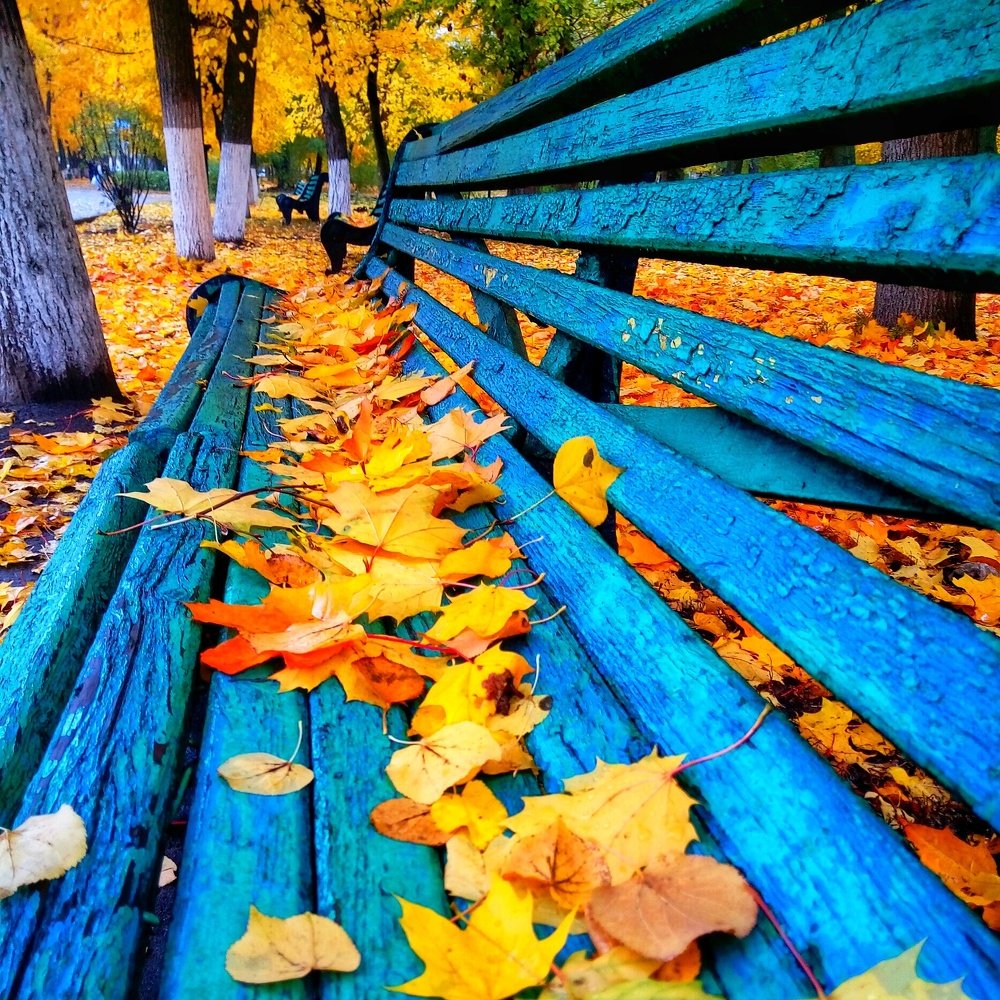 Осенний парк