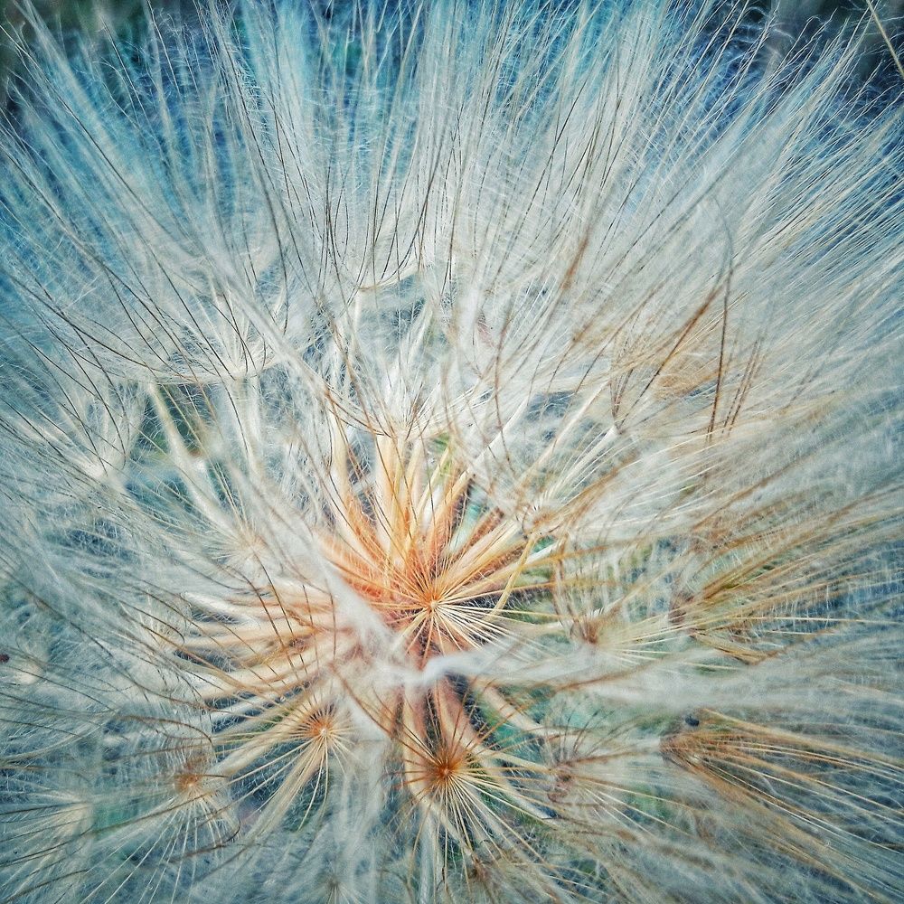 Photograph by Анна Рикерт