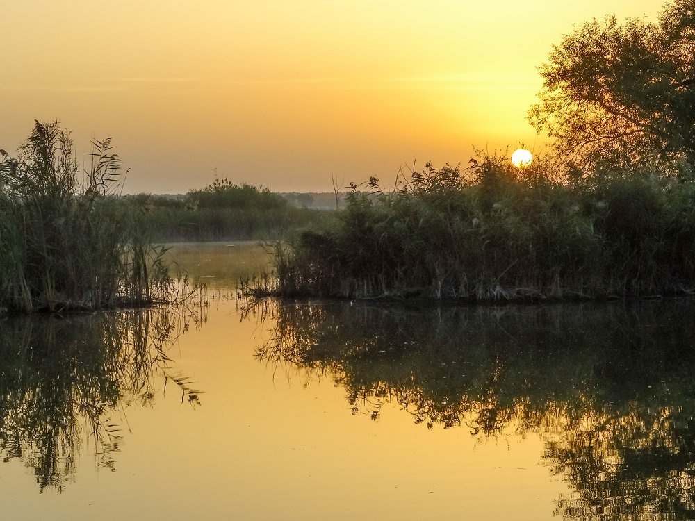 Photograph by Роман Васильевич