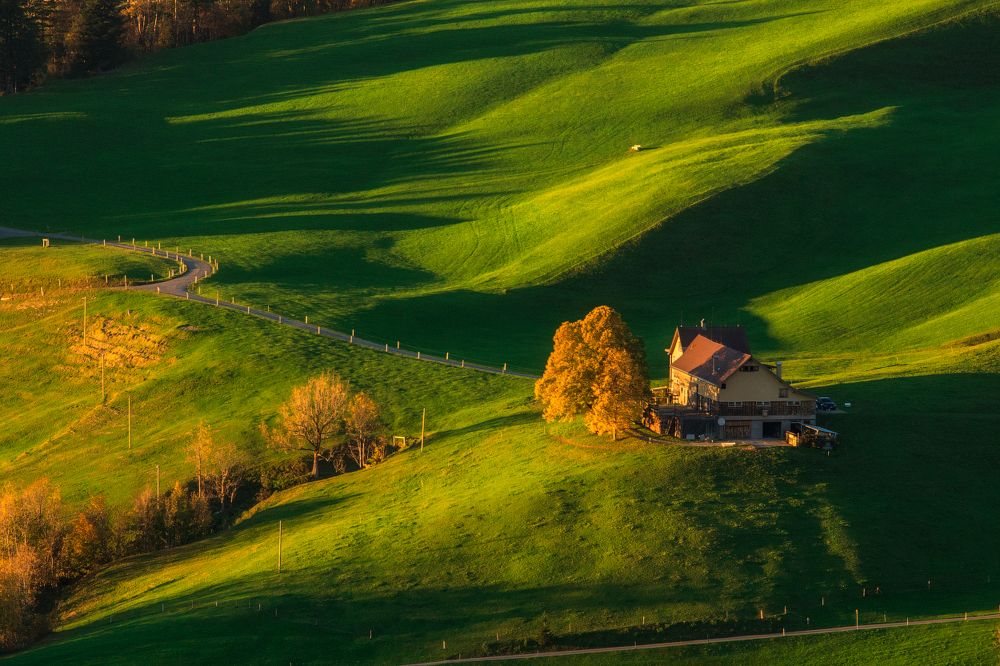 Дом на зеленых волнах