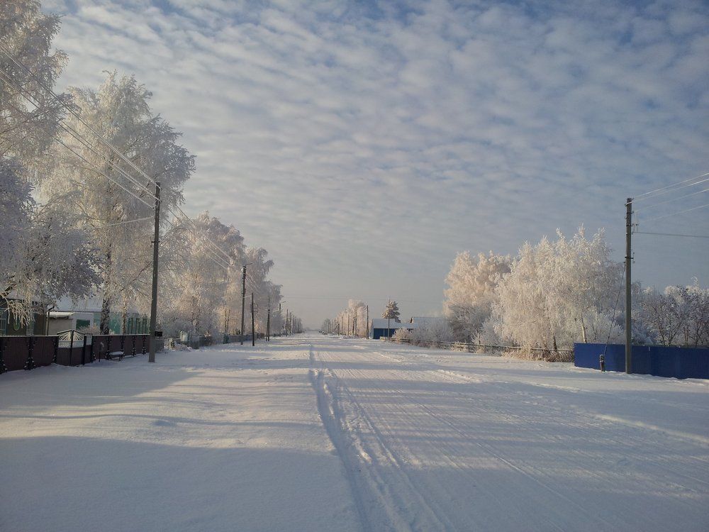 Наше с.Орлово Алтай