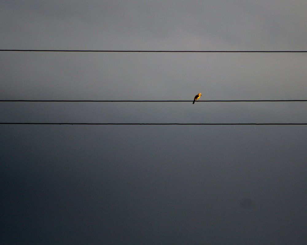 Фотография автора Sherry Naipaul