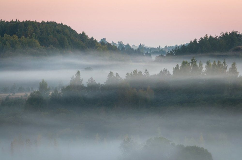 Утро туманное