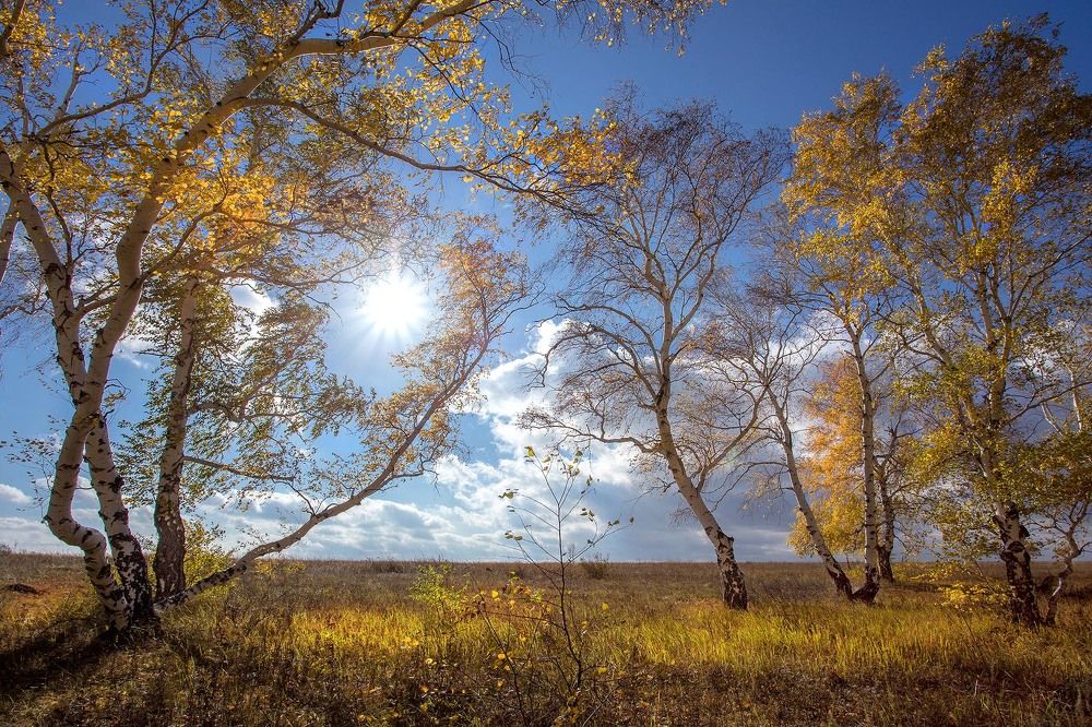 Осень во плоти!