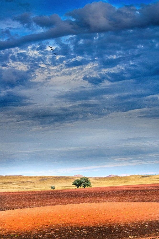 Цветовые контрасты