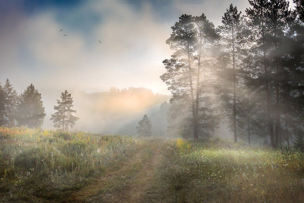 Туманное Утро!