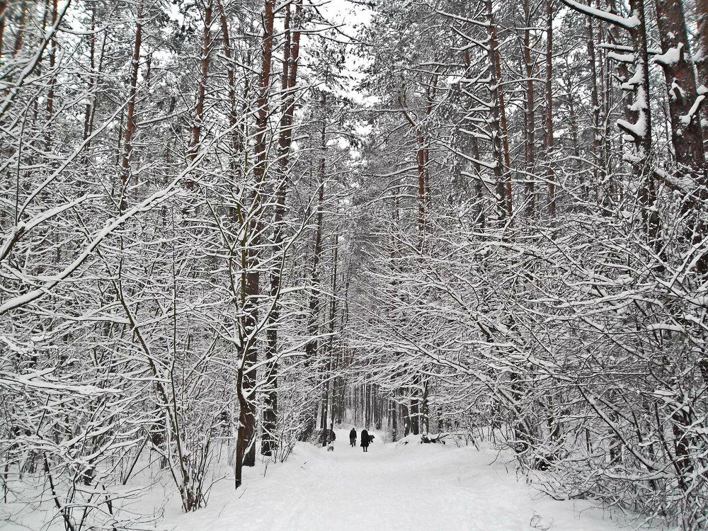 Photograph by Наталья Цуран