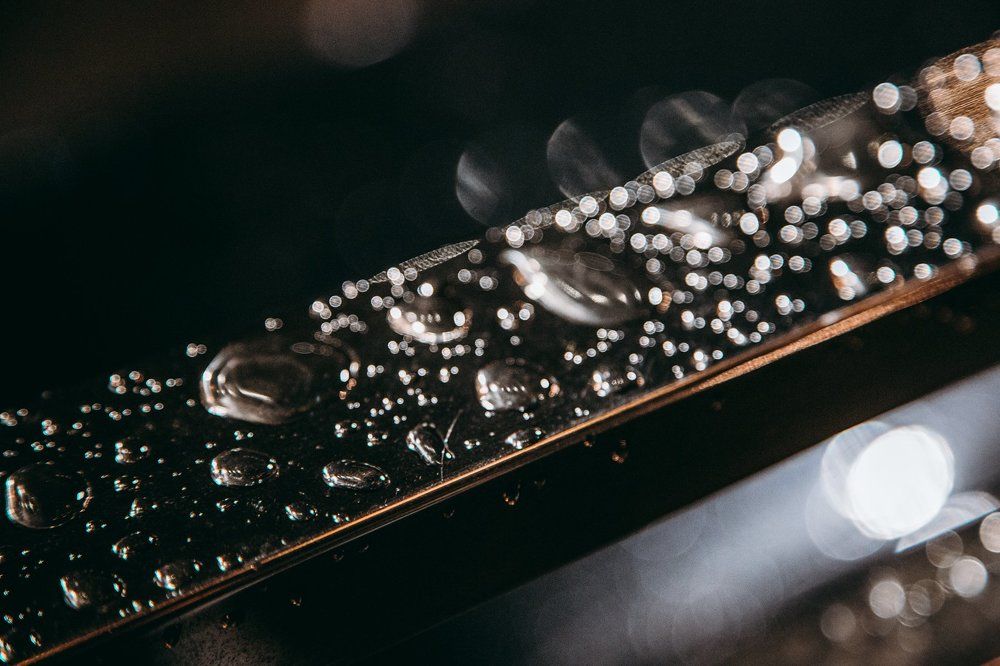 Photograph by Трепольский Дмитрий