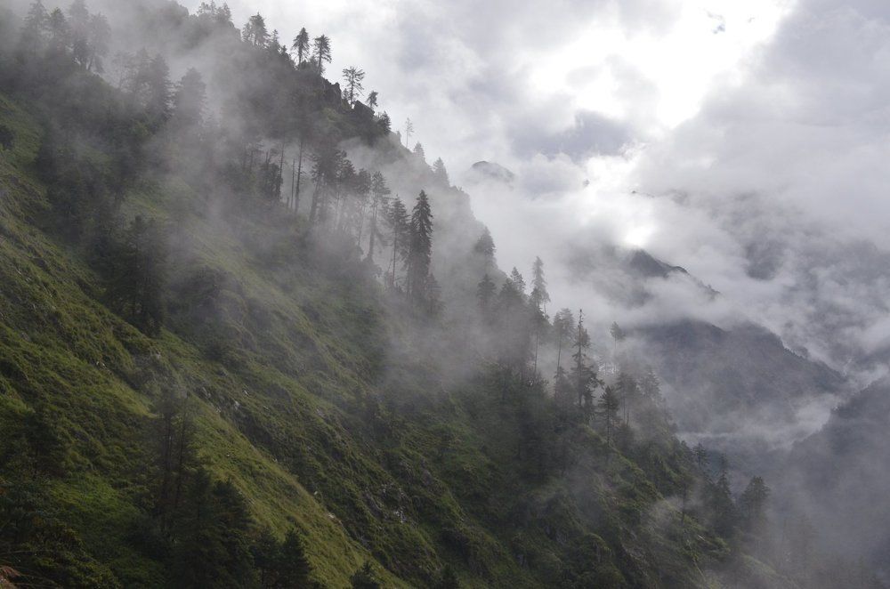 В долине Лангтанга