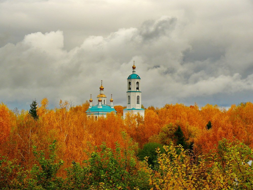 Золотая осень