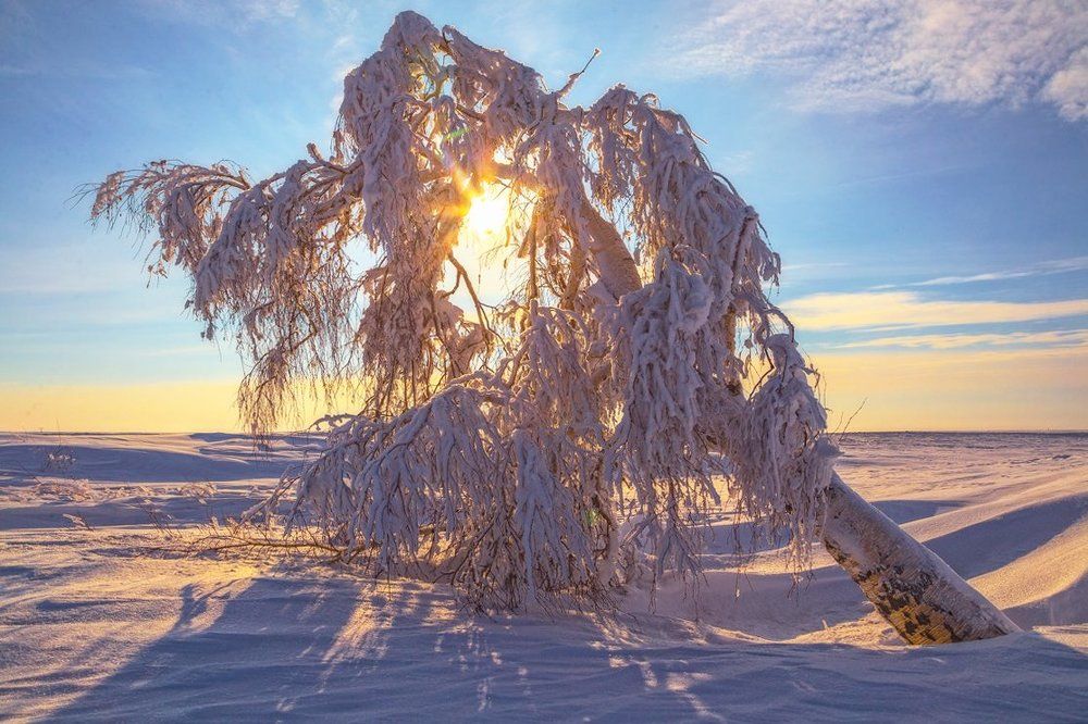 после тумана