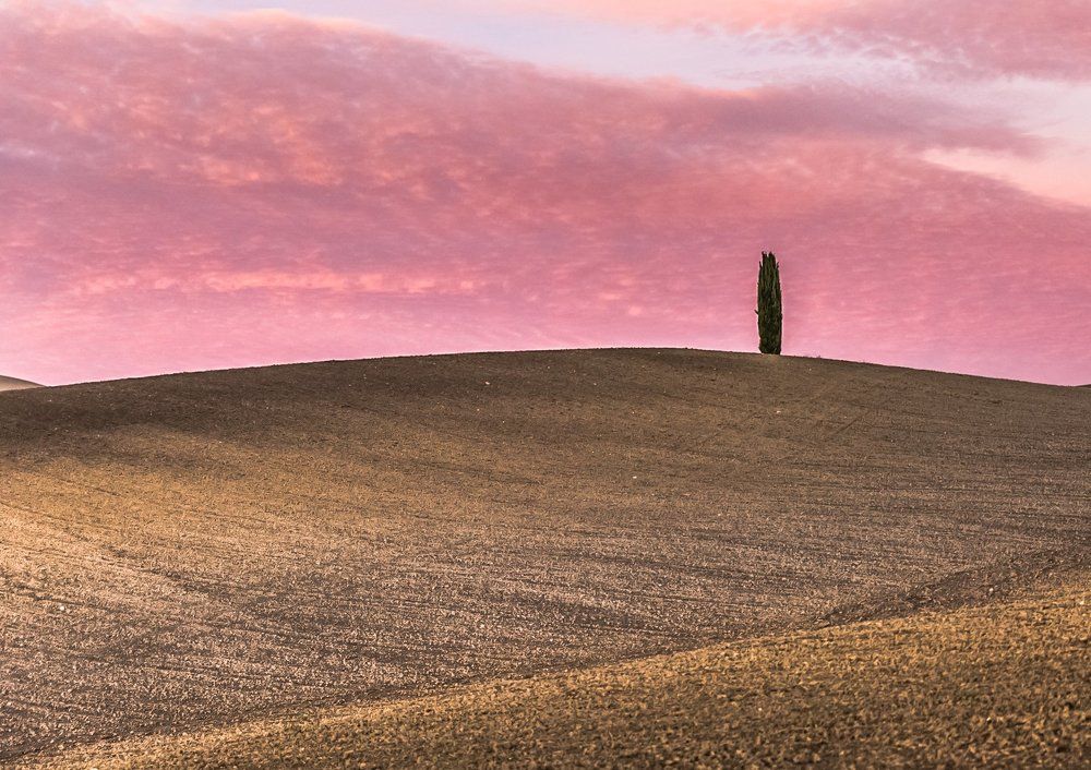 Тосканский минимализм