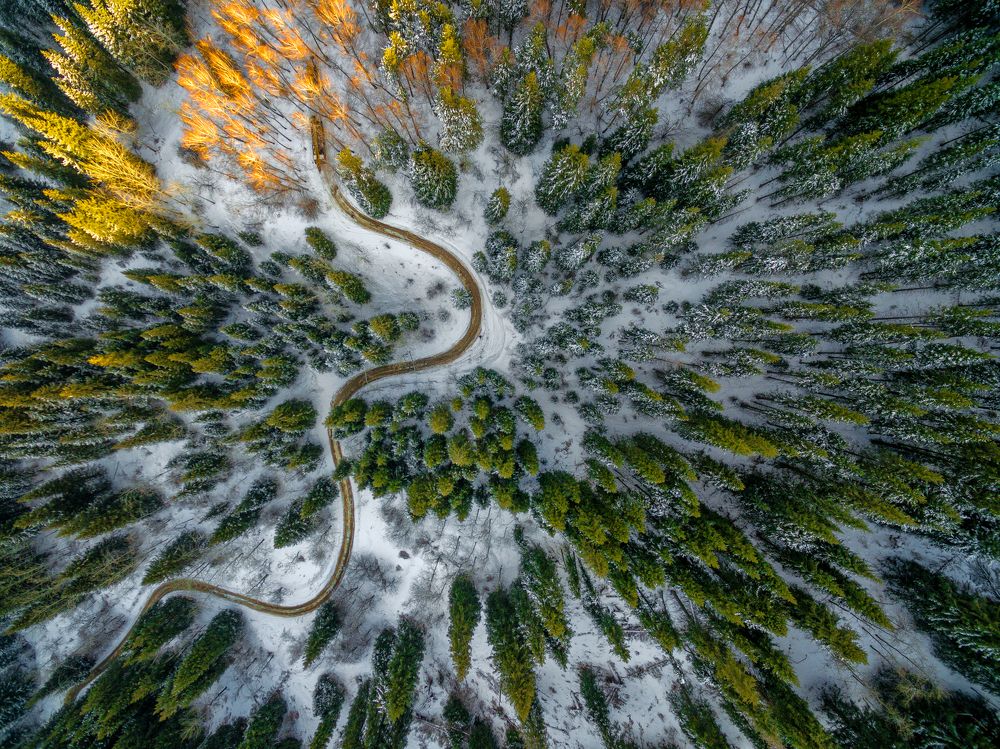 последние лучи солнца