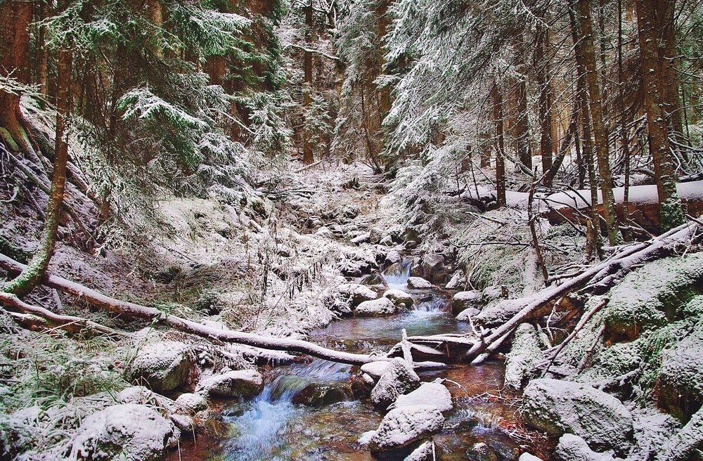 Первый снег