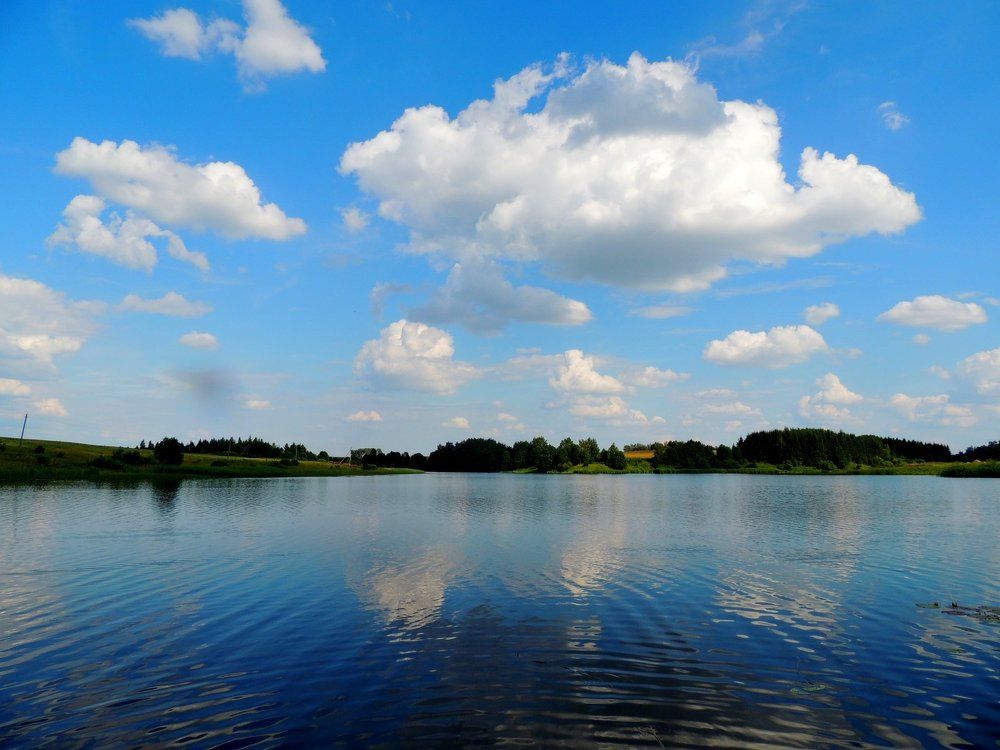 Край родной