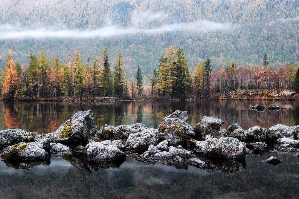 Отражение утреннего тумана