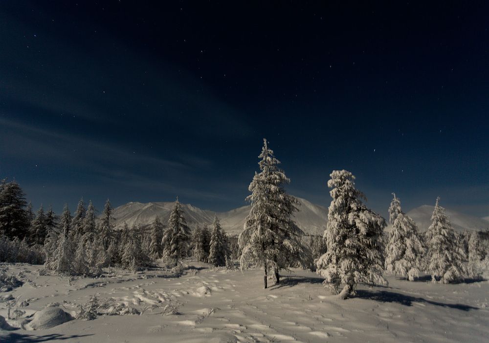 За полярным кругом