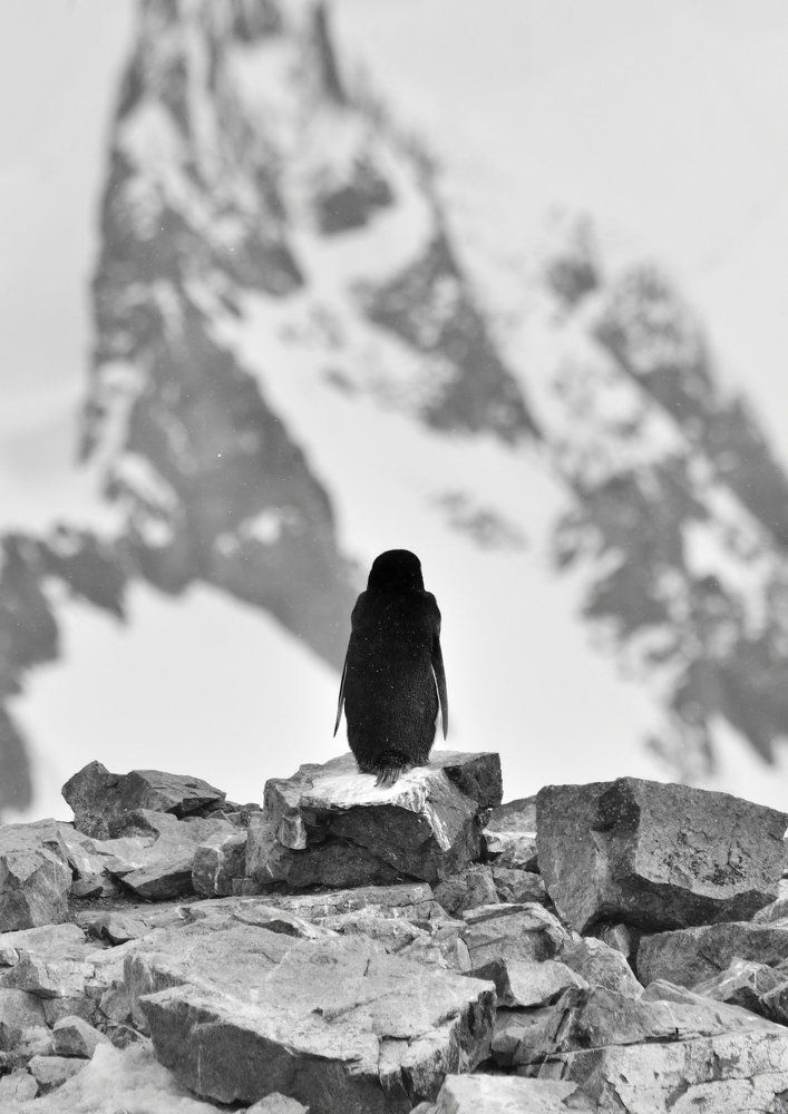 Один в большом мире