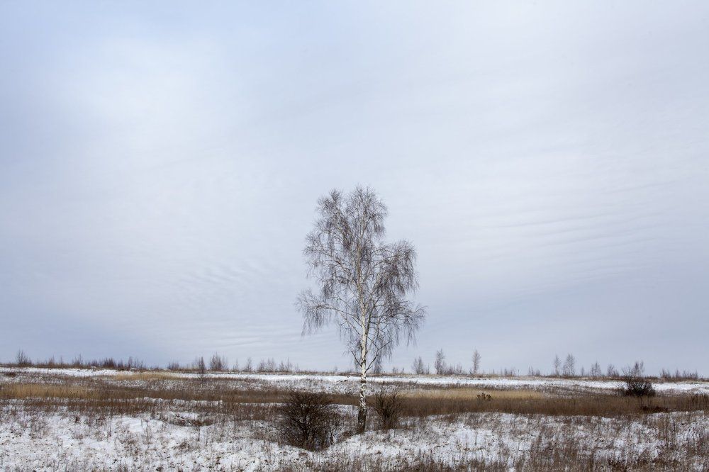 Photograph by Виктор Комиссаров