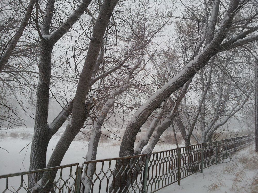 В буране.