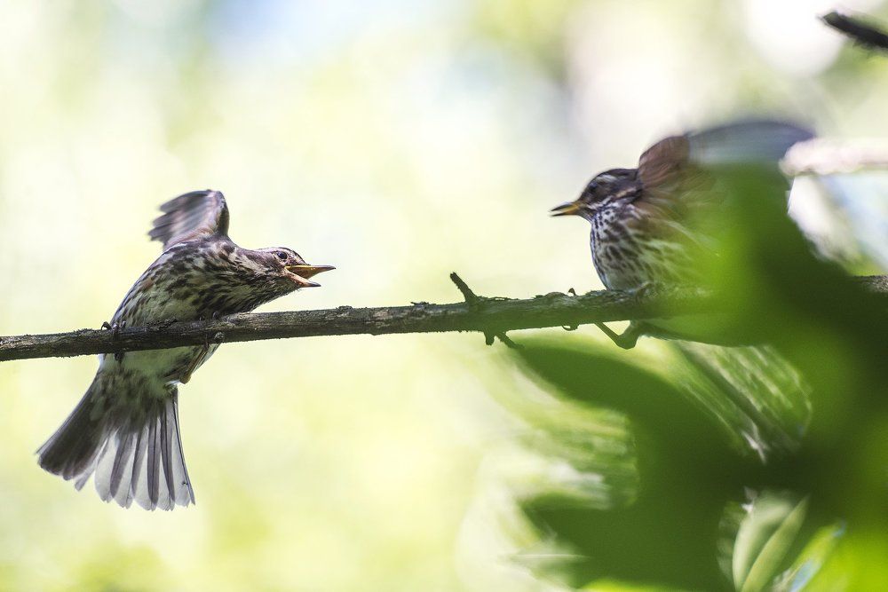 без названия