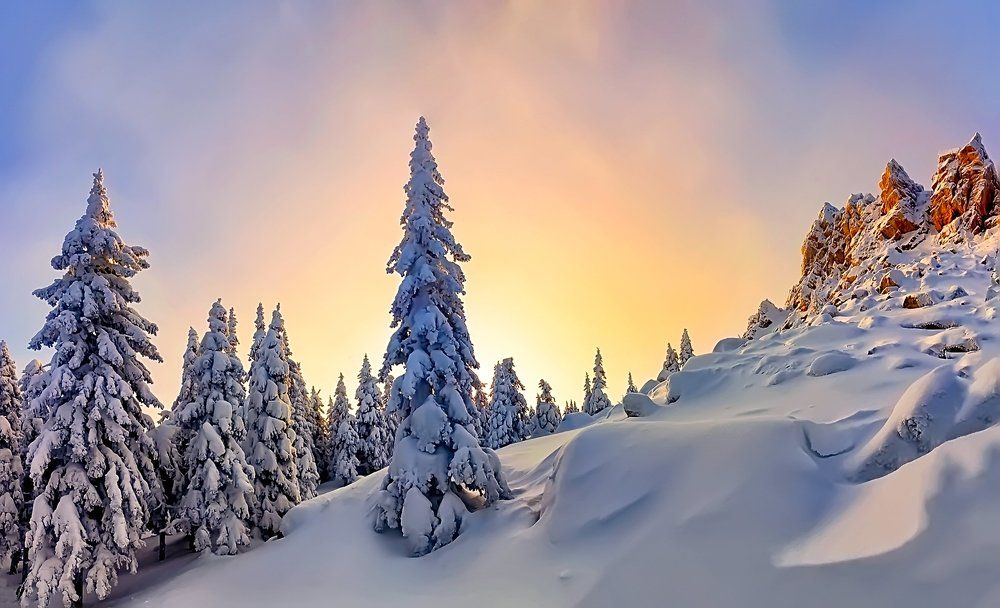 У золотых скал