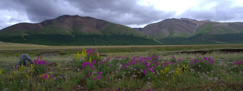 Краски лета