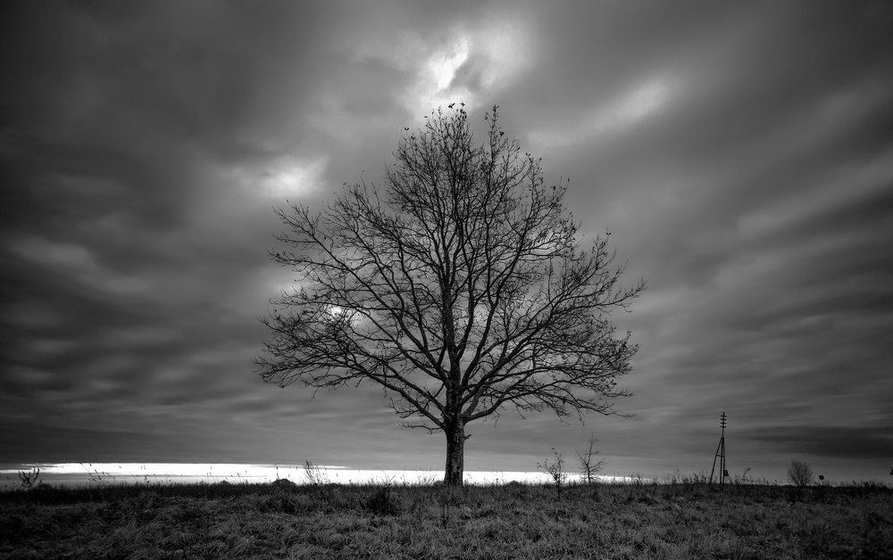 Часть от мира сего