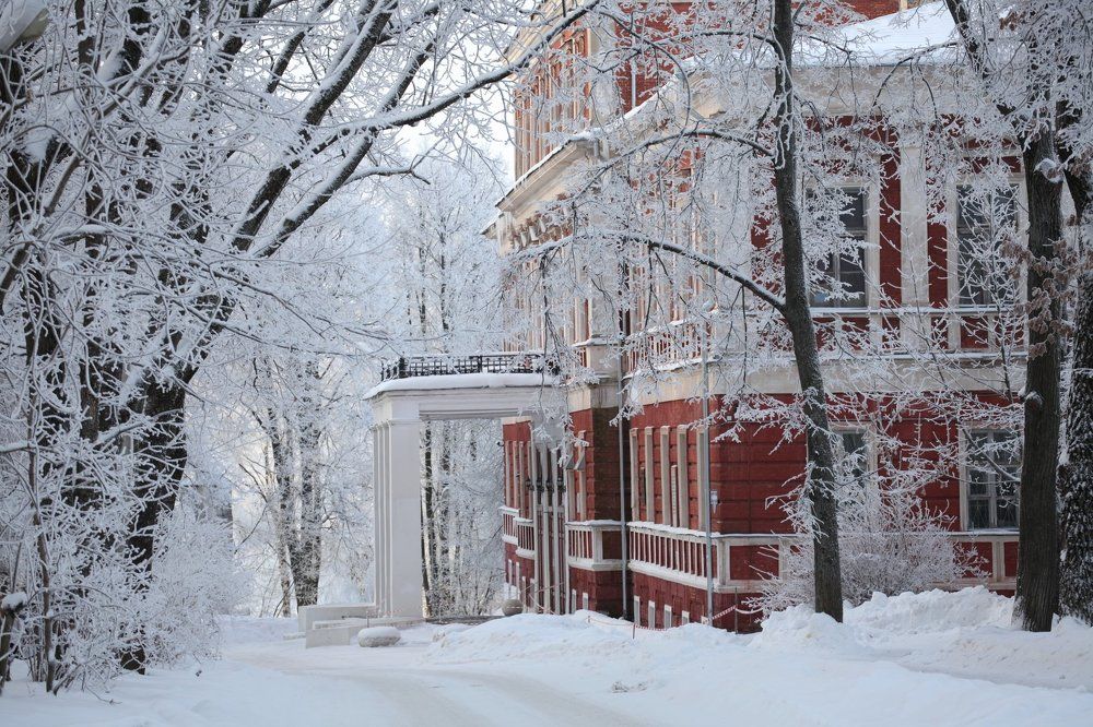 Зимние кружева