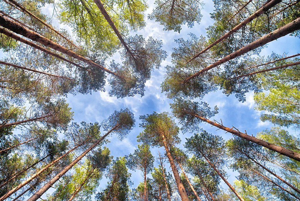 Впечатление