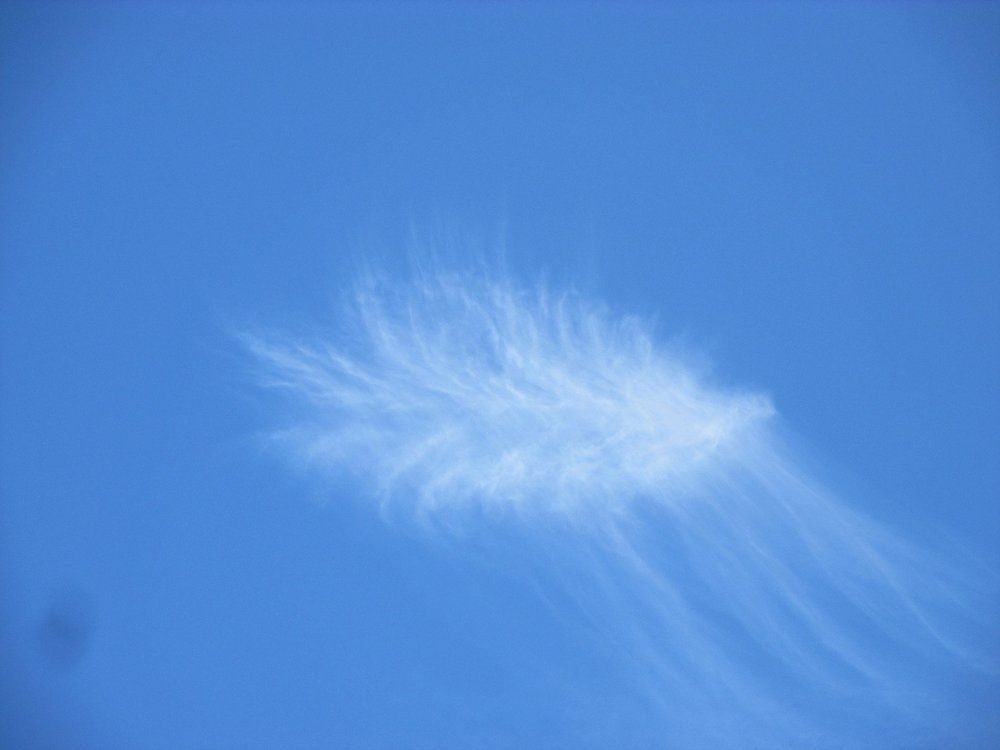 облако перо