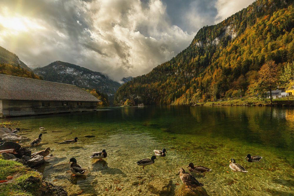 Кёникзее. Октябрь