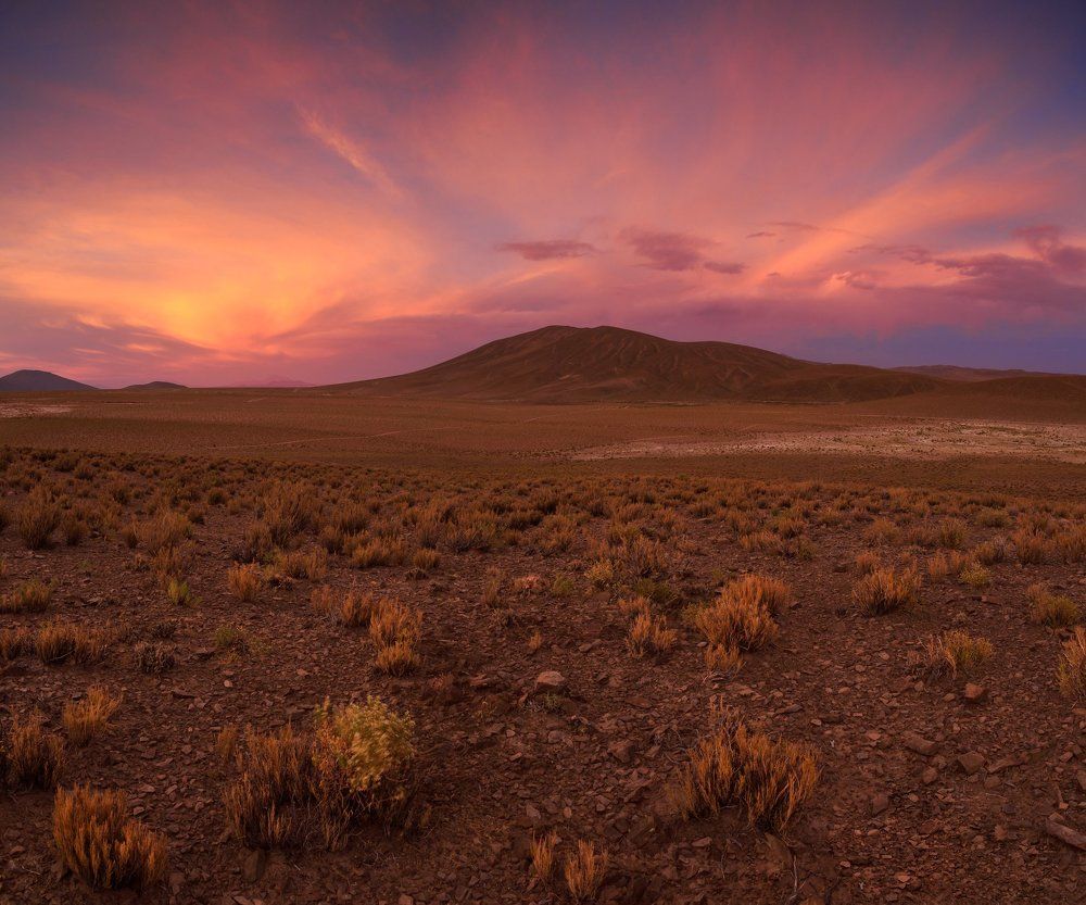 Мир холодный пустынь.