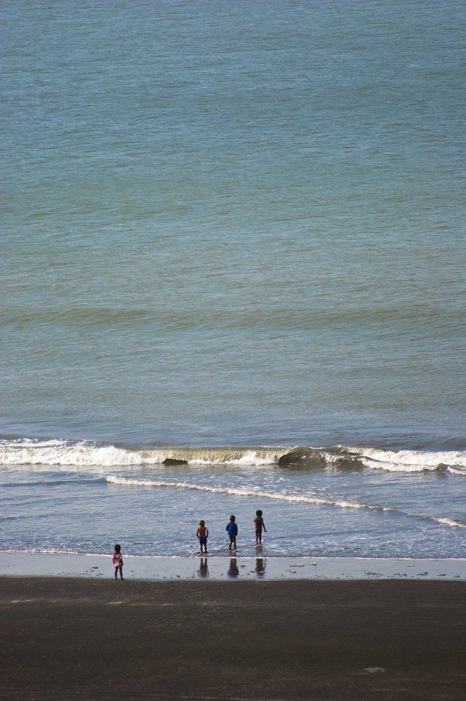 What they are looking