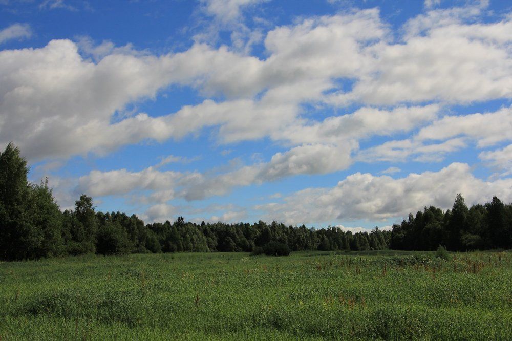 Белые клочья