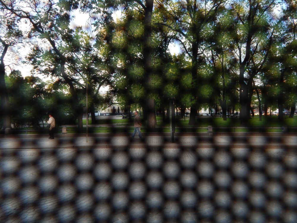 Из автобуса