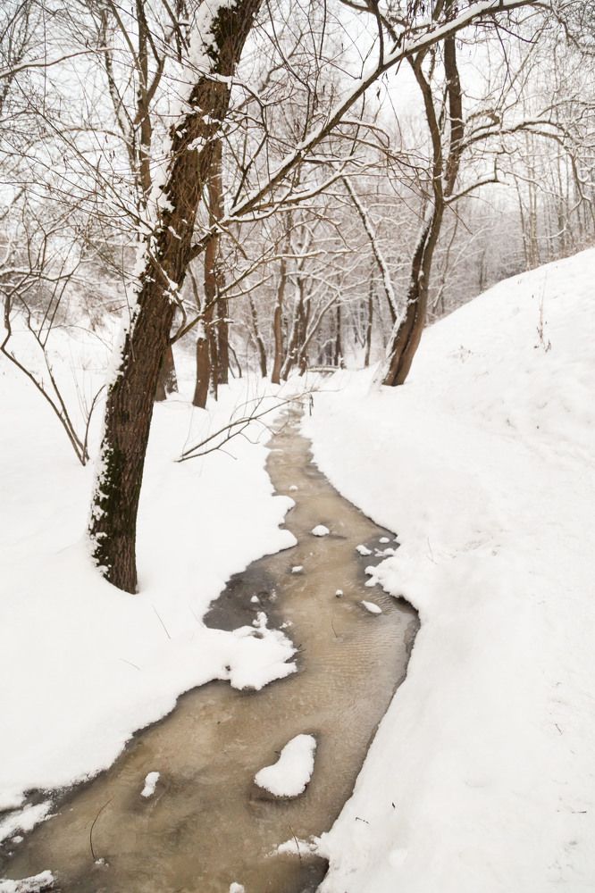 Photograph by Наталия Мамаева