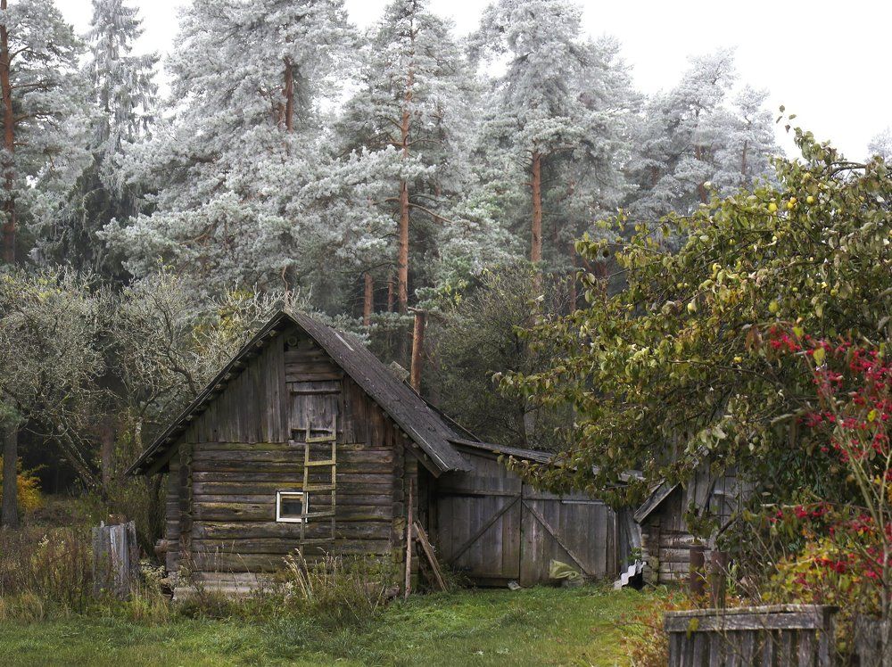 Встреча зимы и осени