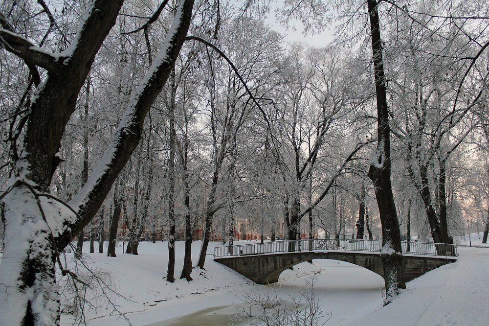 После снегопада.