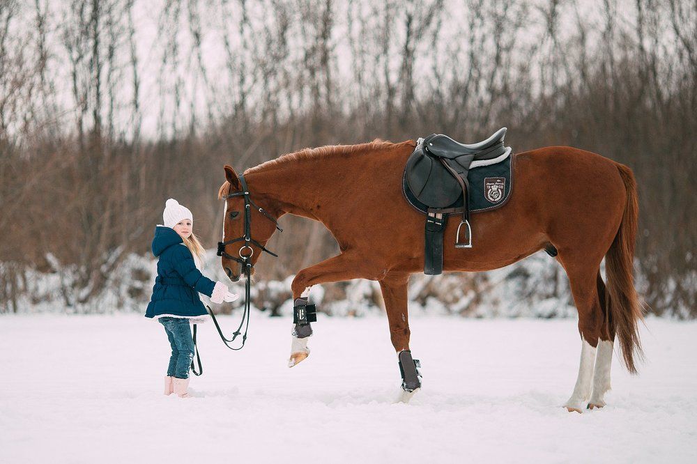 Детство рядом с лошадьми