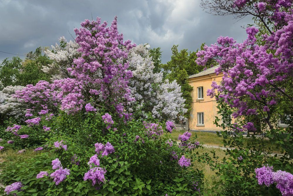 Волгоградский дворик.