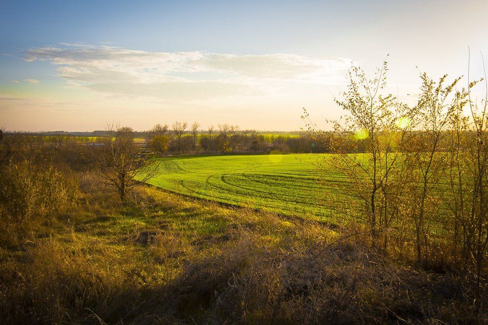 Русские просторы