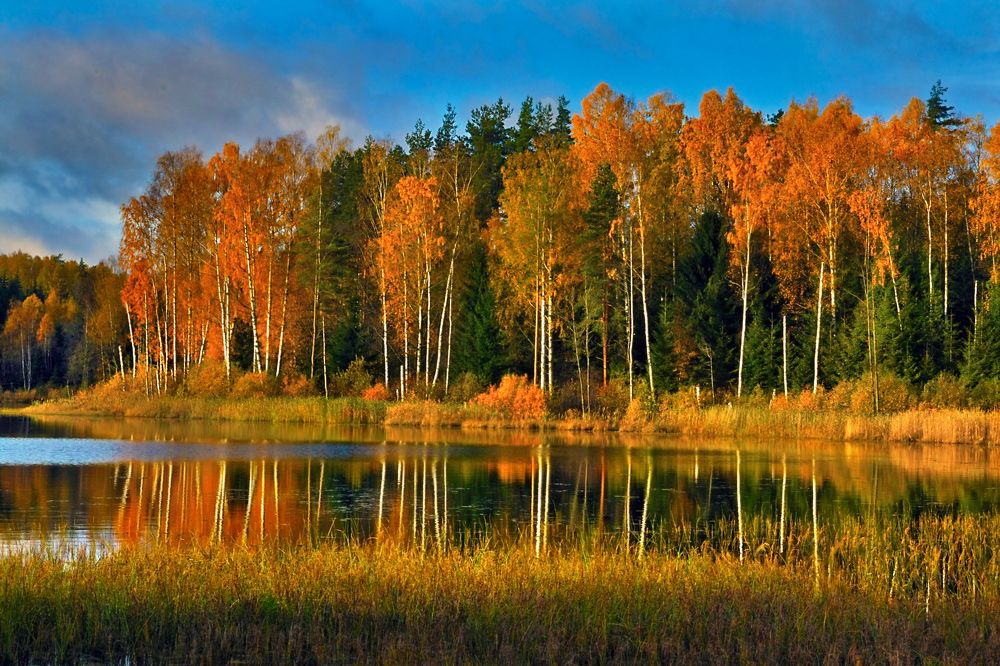 Красочная осень