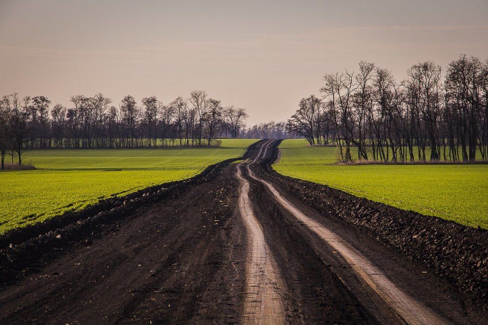 Фотография автора Светлана Котлярова