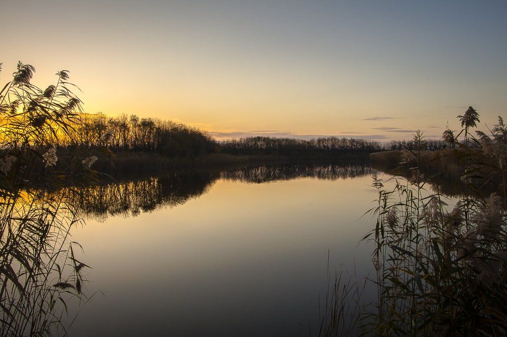 Фотография автора Светлана Котлярова