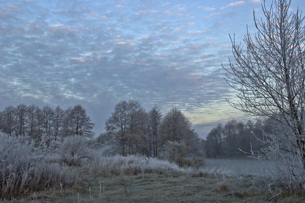 Photograph by Сергей Алексеев