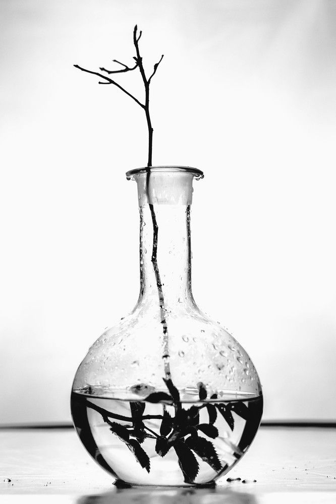 Всюду жизнь