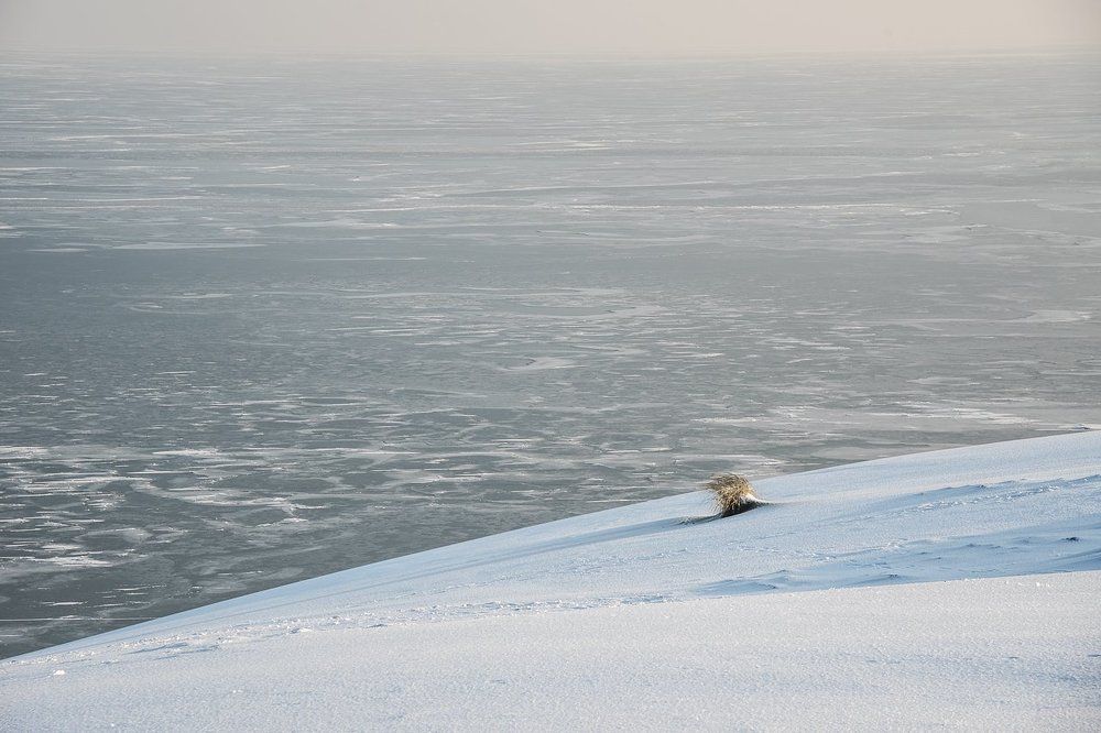Куршский залив