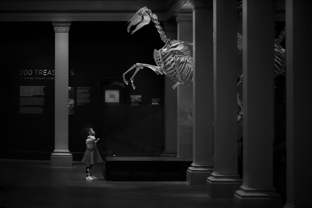 Night at the Museum: summon of the horse