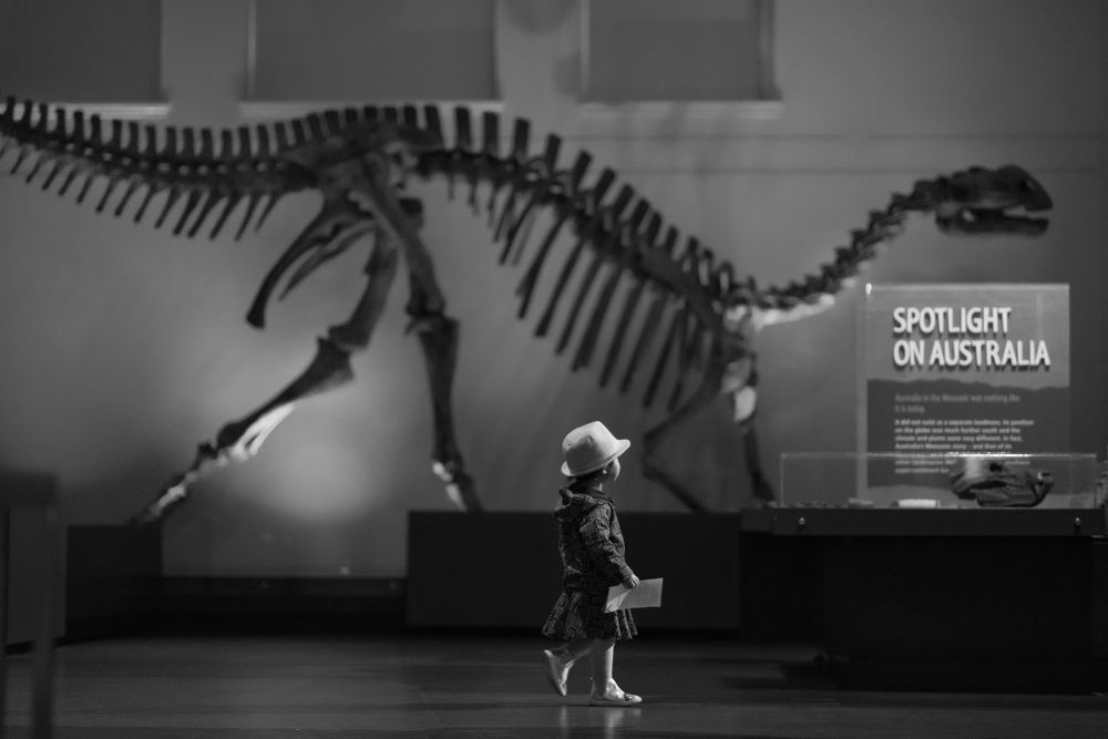 Night at the Museum: walking with dinosaur